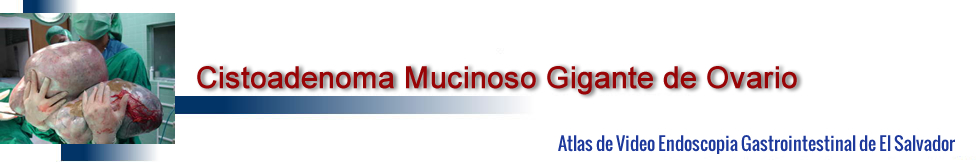 Atlas de Videondoscopia Gastrointestinal de El Salvador Atlas de Videondoscopia Gastrointestinal de El Salvador